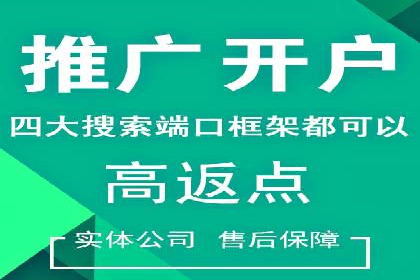 百度推广公司案例研究：揭秘电商行业爆款打造秘诀